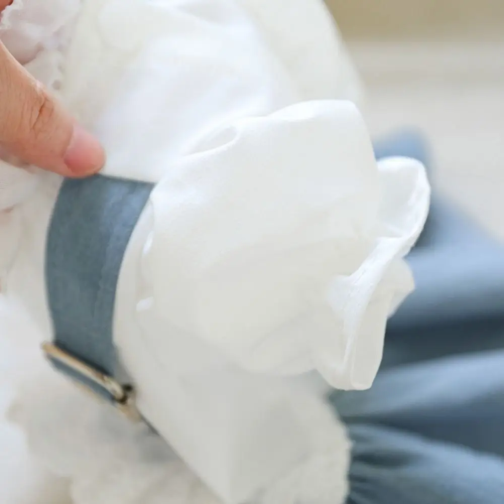 فستان الدنيم المحمول القابل للغسل للحيوانات الأليفة قابل لإعادة الاستخدام مع تنورة الدنيم القوس الكلب لطيف تنورة الحيوانات الأليفة الربيع