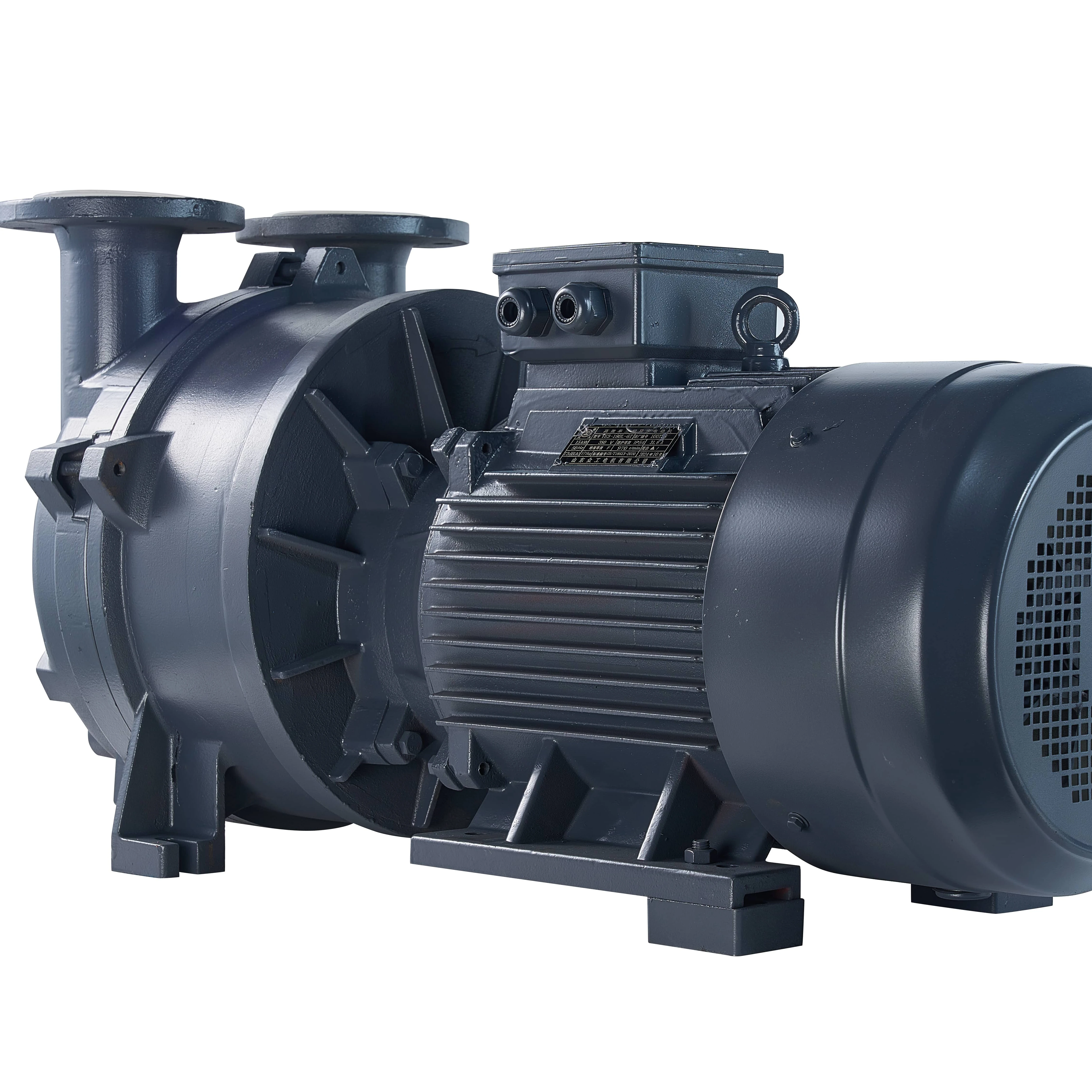 University Laboratory 2BV Water Ring Vacuum Pump