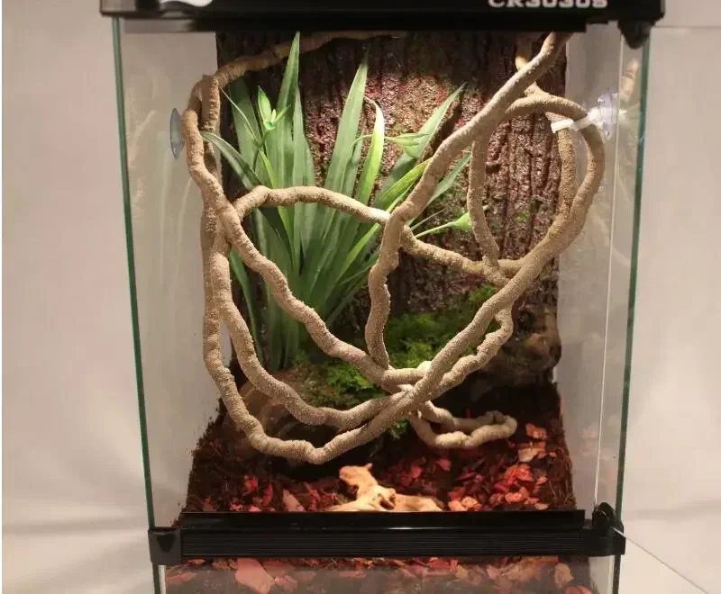 Thumbnail 2 - #33 Pet Habitat Decors List of Top Picks