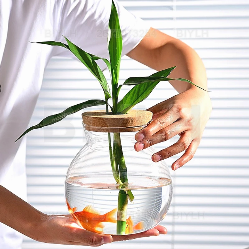 Hydroponic Plant Glass Vase With Cork Lid Home Decor Transparent Plant Pot Garden Accessories Micro-landscape Ecological Bottle - view 5