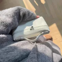 Premium sense of niche lychee grain shoulder bag simple fashion lunch box women's bag exquisite mini handheld crossbody bags - Image 3