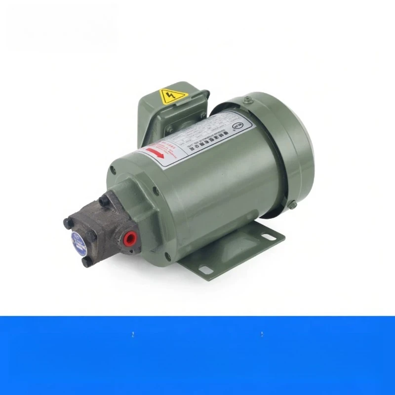 220V electric engine oil gear oil pump TOP-12A machine tool lubrication TOP-11/13A triangular cycloid pump motor