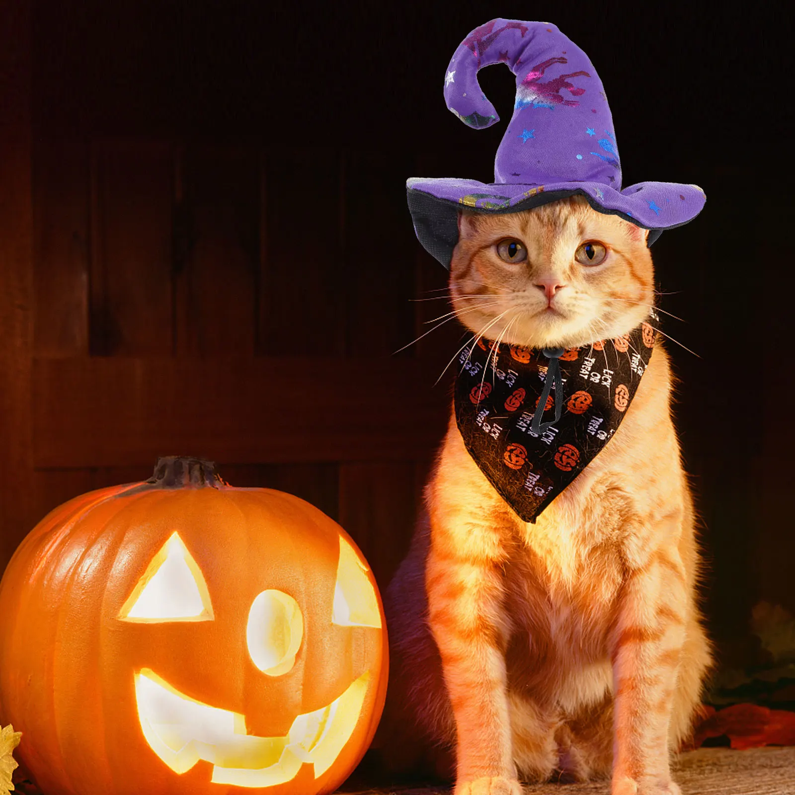 

Pet Hat Halloween Elastic Dog Cat Hat Reusable Durable Festival Cosplay Costume Accessory Party Pet Cap Cat Halloween Decor Prop