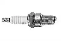 Store code: 755LS for ignition spark plug (7822) M131 TEMPRA TIPO SLX R19 (WR6DC)