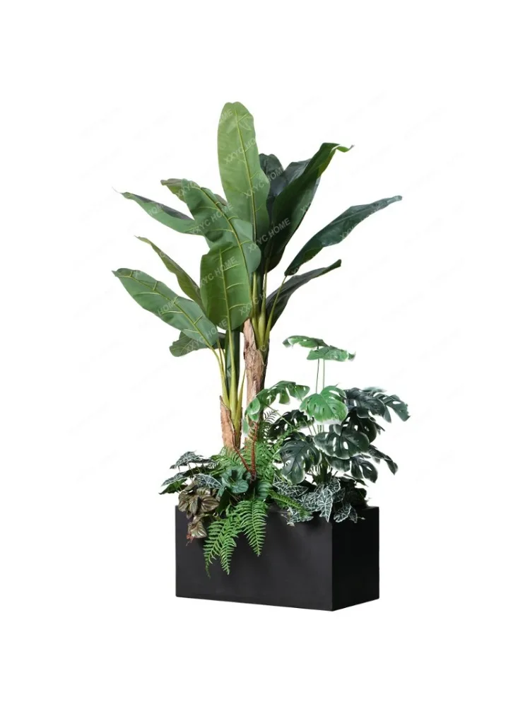 

Floor Plant Partition Wall Indoor Landscape Plant Flower Box Landscaping Decoration Green Plant