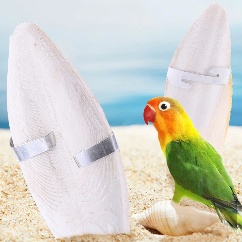 Cuttlebone for Canary Small to Medium Birds Natural Cuttlefish Bone with Holder Teeth Grinding Toy for Hamster Rabbit