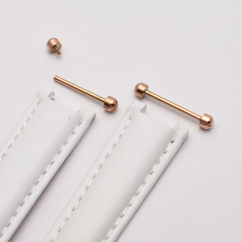 Watch Screw Tube Rod Spring Bar Rose Gold Silver Screw-In Watch Lug Stem Link Kit for Leather Watchband Strap 18mm 20mm 22mm