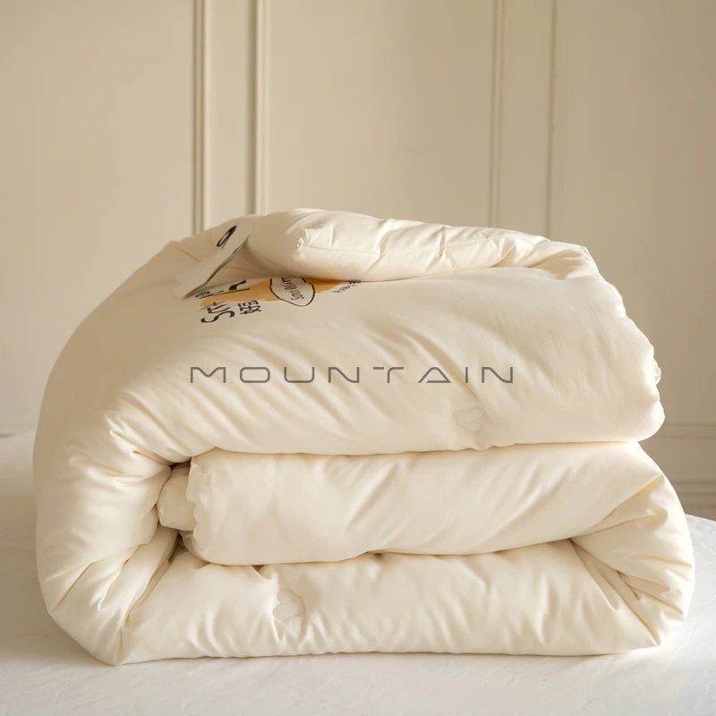 Class A Soybean Cotton Quilt Thickened Warm Winter Double Household Quilt Core