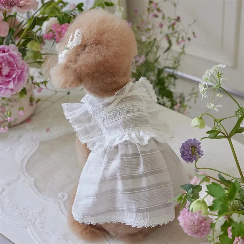 

Pet Wedding Outfits White Lace Ruff Trim Dress Princess Doggy Cat Summer Party Dress Pet Clothes Chihuahua Poodle Wholesale