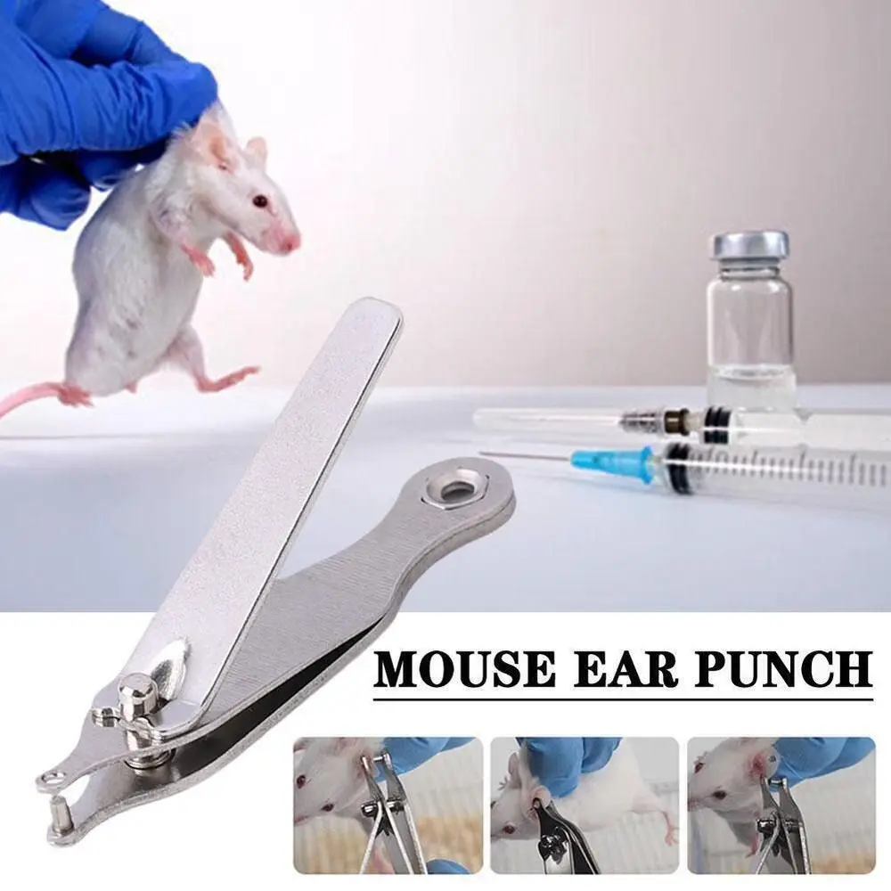

New Stainless steel Animal Experimental Ear Punch Silver Safe Mouse Ear Punch Punching Shears