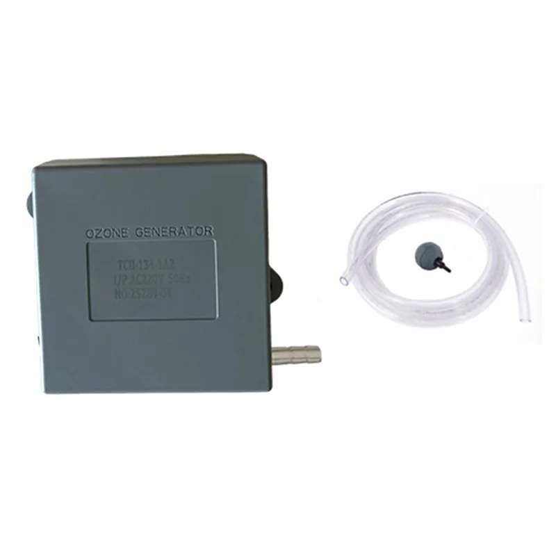 

B07B-Cold Plunge Ozone Generator 300Mg/H High-Efficiency Water Ozonator Portable SPA Ozonator EU Plug