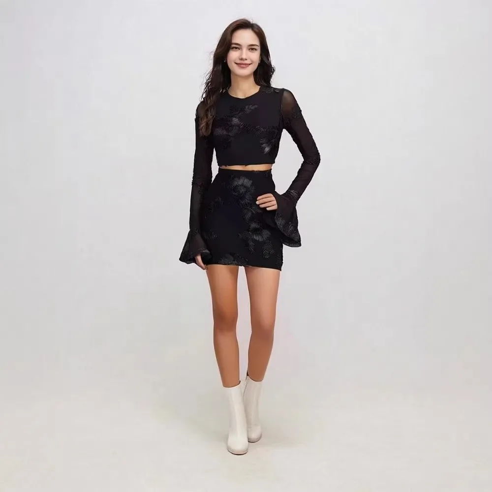 Woman 2 Piece Set Outfit Solid Color Long Sleeves Tops Package Hip Skirts Bodycon see Through Lace Two Piece Outfits Temperament