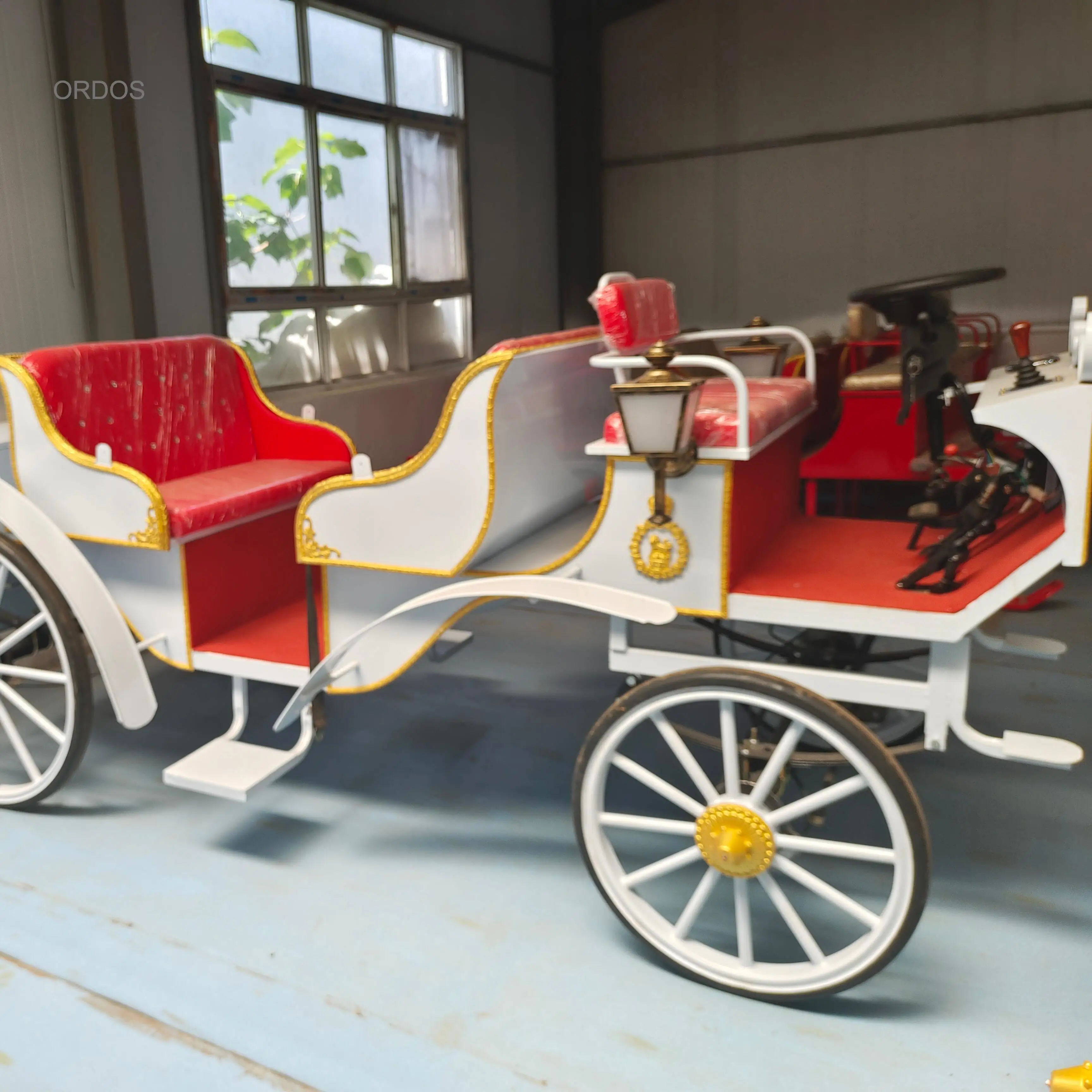 

2024 Sightseeing Carriage Electric Tricycle For Passenger Customized Color Factory Price COC