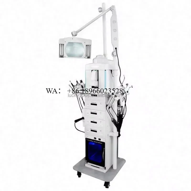 WMWMNU for Professional 19 in 1 Multifunction Beauty Comprehensive Management Facial Steamer Diamond