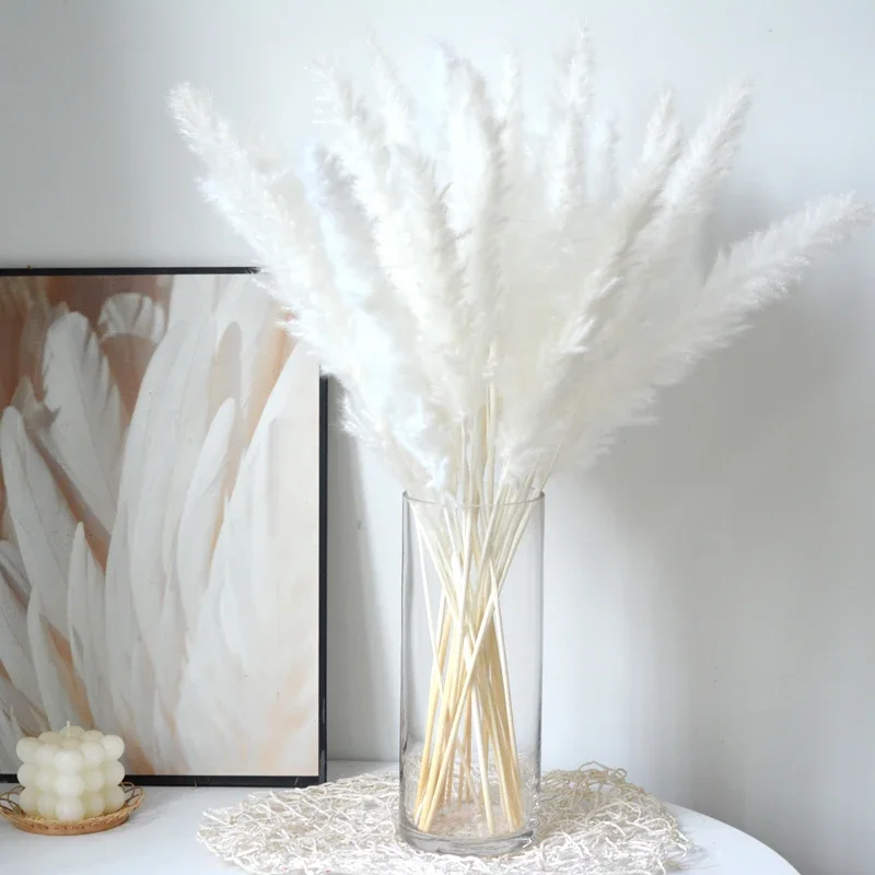 10pcs Fluffy Pampas Grass Reeds Dried Flower Bundle Natural Nordic Ins Home Decoration Arrangements Wedding DIY Photography Prop