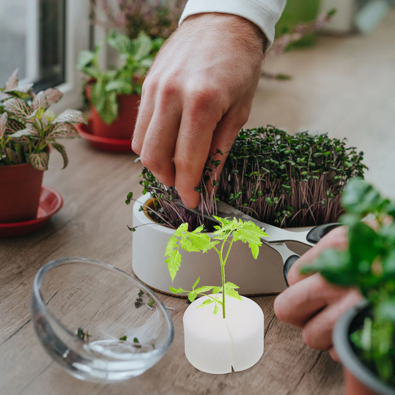 

100 шт., гидропонный губчатый блок, беспочвенное выращивание овощей, теплица, стартовые принадлежности для выращивания, садовый инструмент, детские кубики