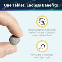 Hydrogen Water Tablets Magnesium 12 PPM H2 Molecular Hydrogen Effervescent Tablets for Drinking Water Energy Wellness 90 Tablets 4
