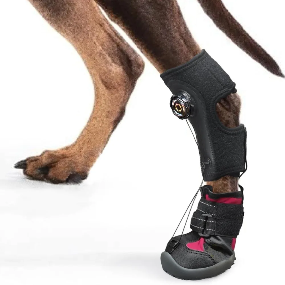 Anti Dirt Corrective Dog Shoes Wear-Resistant Anti Drop Paw Protectors Breathable Non-slip Dog Footwear Indoor Use