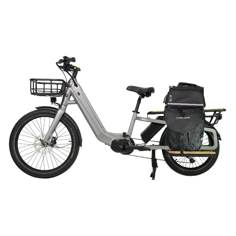 Powerful Cargo Bikes Electric Bikes Family Delivery Bikes
