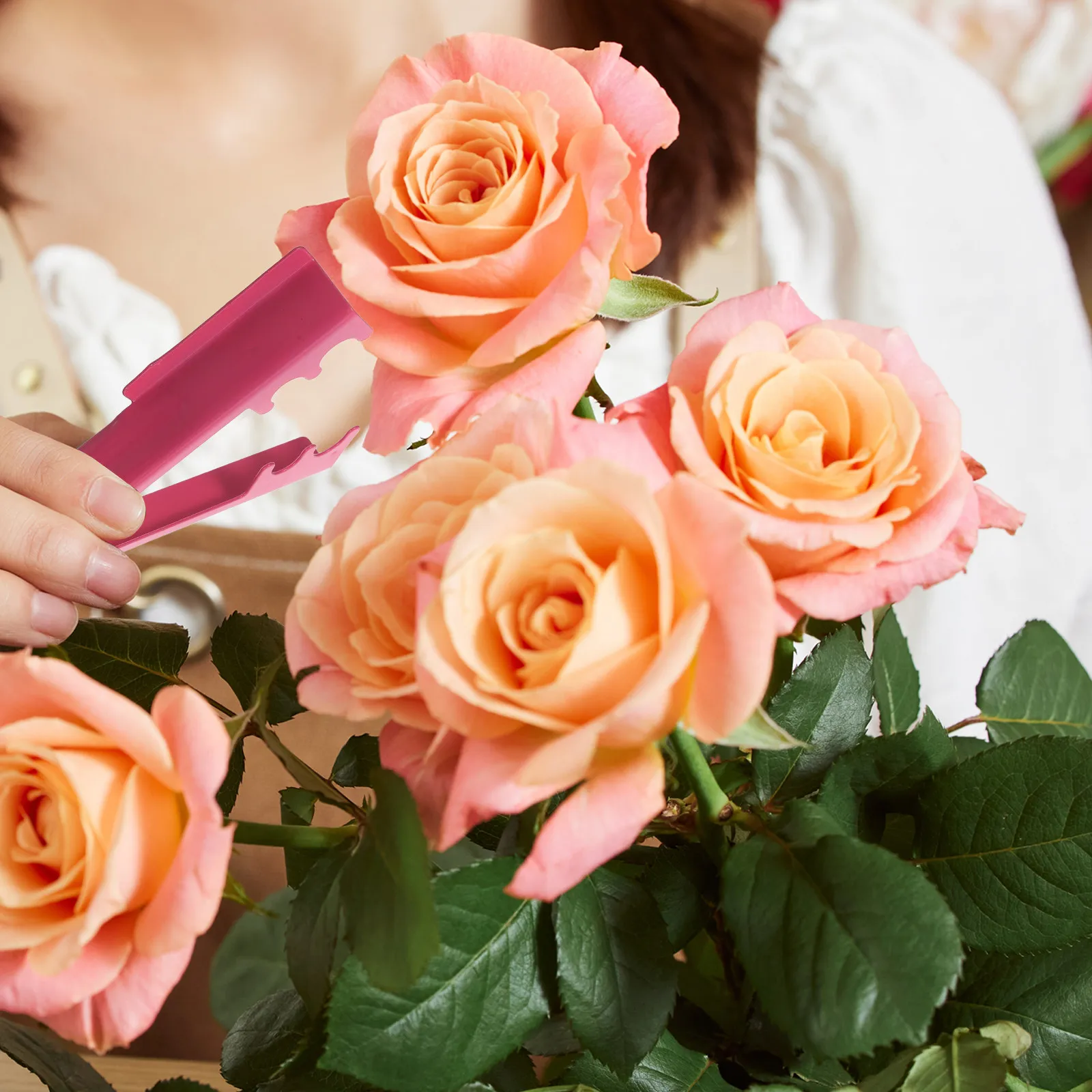 

2Pcs Thorn Stripper Tool Set for Roses Flower Branches Garden Tool Set with Anti-Thorn Protection Lightweight Material Special