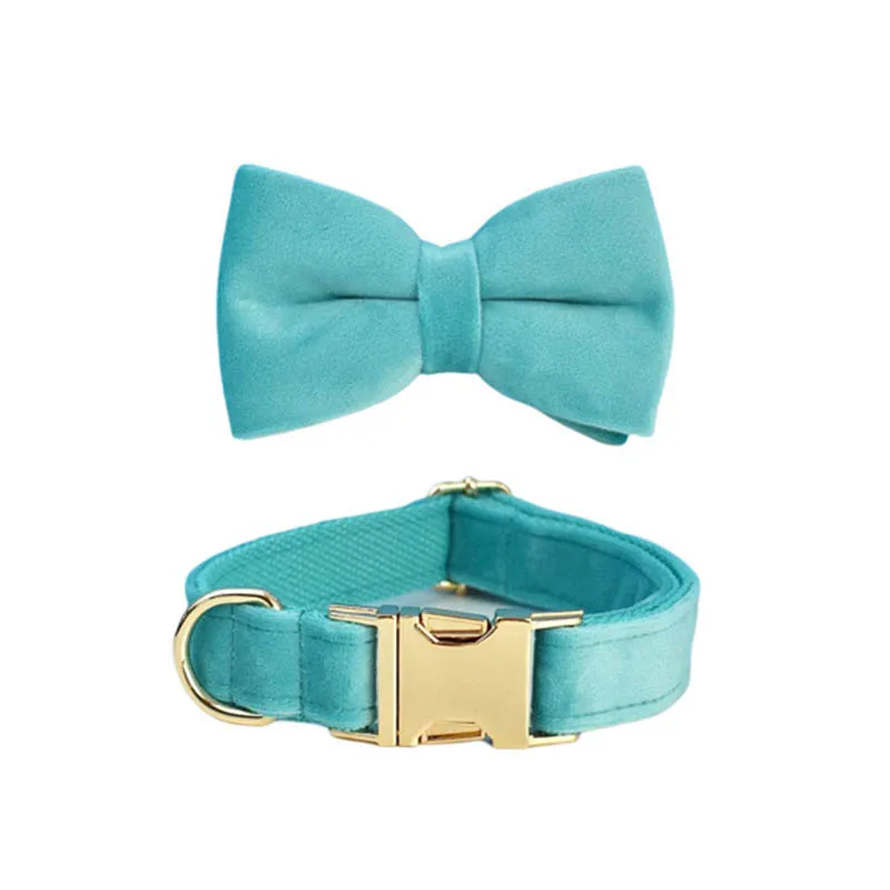 Conjunto de collar y correa de terciopelo turquesa con placa grabada_voghion.com