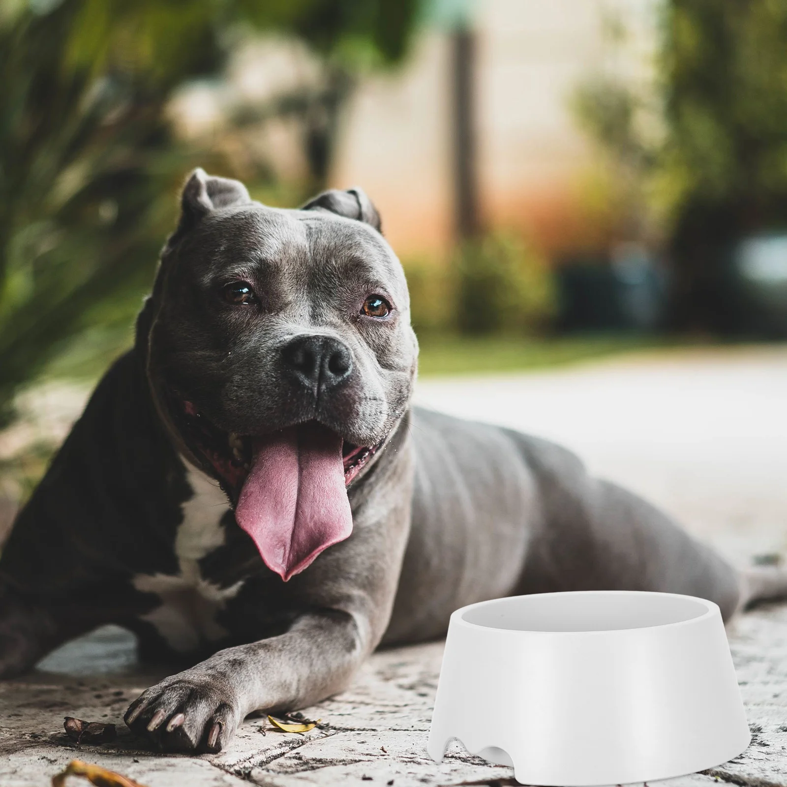 

Anti-Spill Floating Water Bowl for Pets Reusable Dog and Cat Drinking Feeder Non-Tip Design Keeps Floor for Indoor