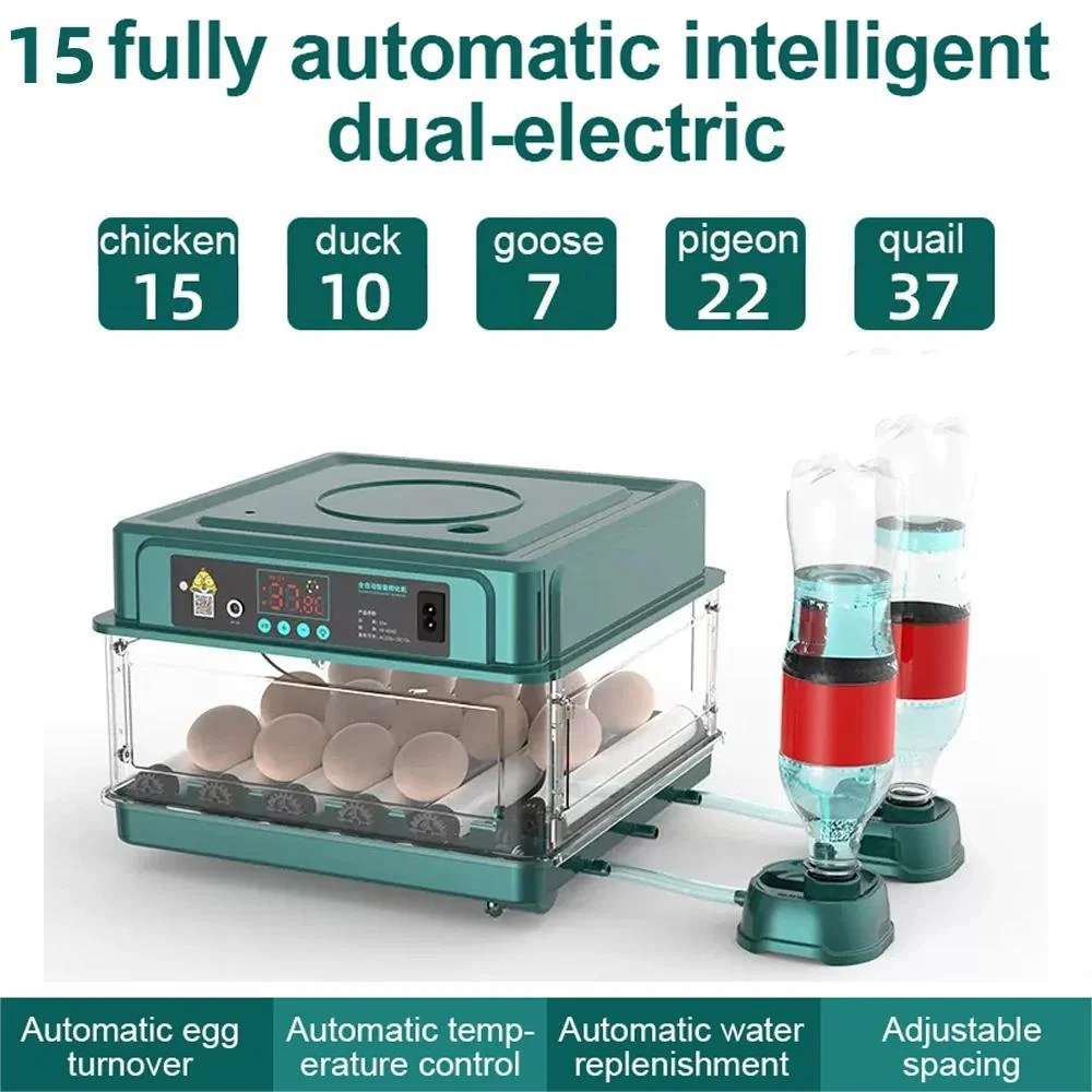 Incubadora de 9/15 huevos con cajón, Mini incubadora de huevos con iônico automático de agua, resistente al agua y Control de temperatura