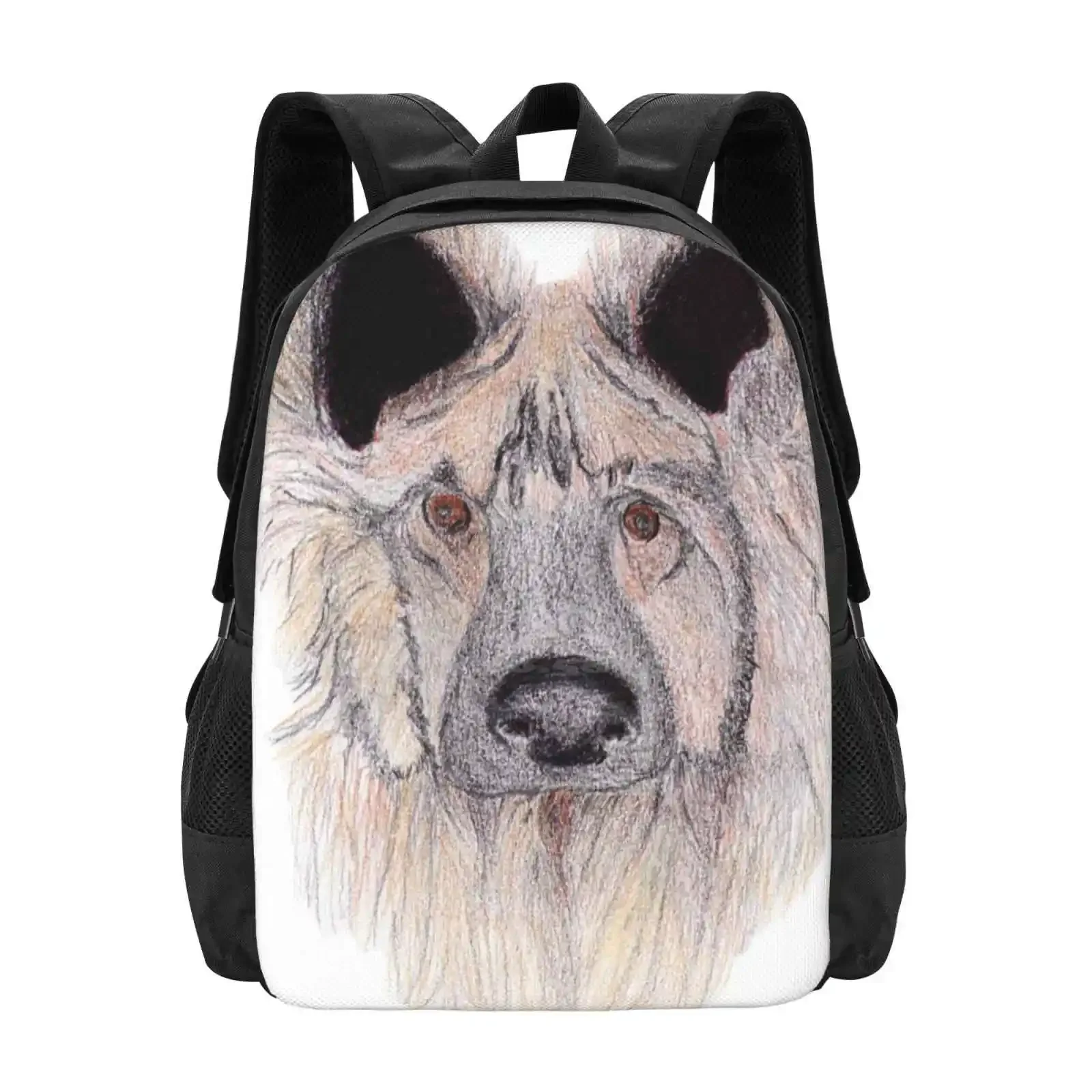 

Harry Because He Is Harry Hot Sale Schoolbag Backpack Fashion Bags Dog Harry Big Nose Pet Brown Eyes Cute Animal Color Pencil