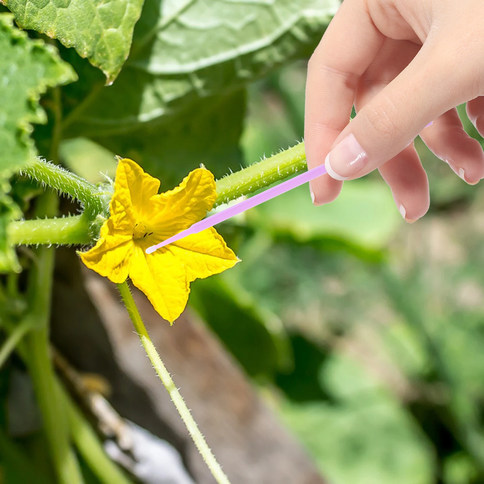 

20pcs Pollinator Tools Soft Wool Brush for Tomato Eggplant Pepper Cucumber Fruit Tree Flower Vegetable Plant Cultivation