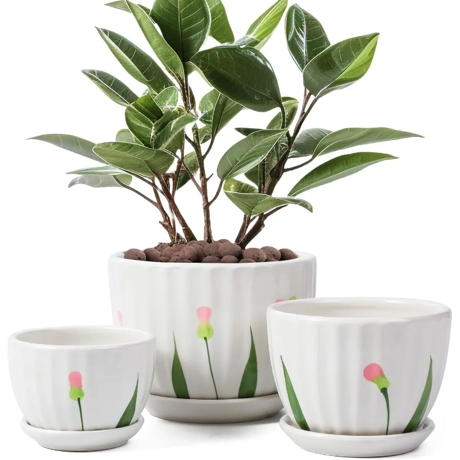 

Ceramic Plant Pots with Drainage Holes and Saucers Round White Flower Pots for Indoor Plant Diameter 3.3 4.3 5.5 Inches Small F