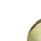 Home Improvement Rigid Caster, 4 Pcs V Shaped Plated Color Track Wheel, Perfect for Sliding Door Rollers.