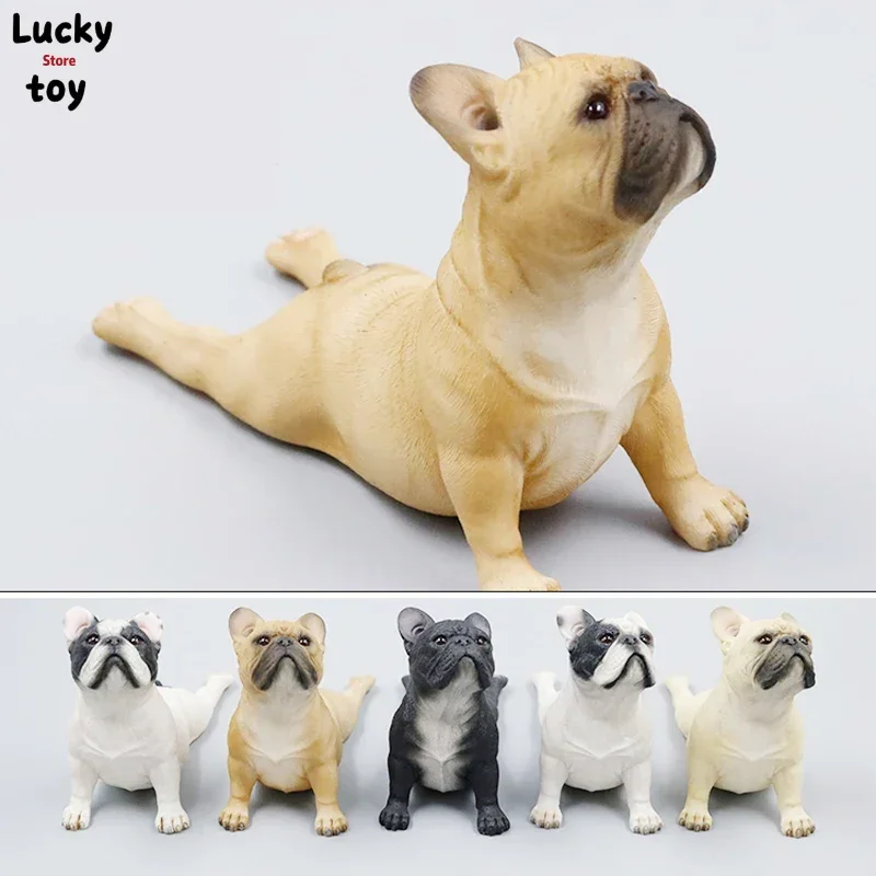 

Mnotht 1/6 French Bulldog Head up and prone Simulated dog Model For 12in Action Figures Toys Scene Accessories l30 Collections