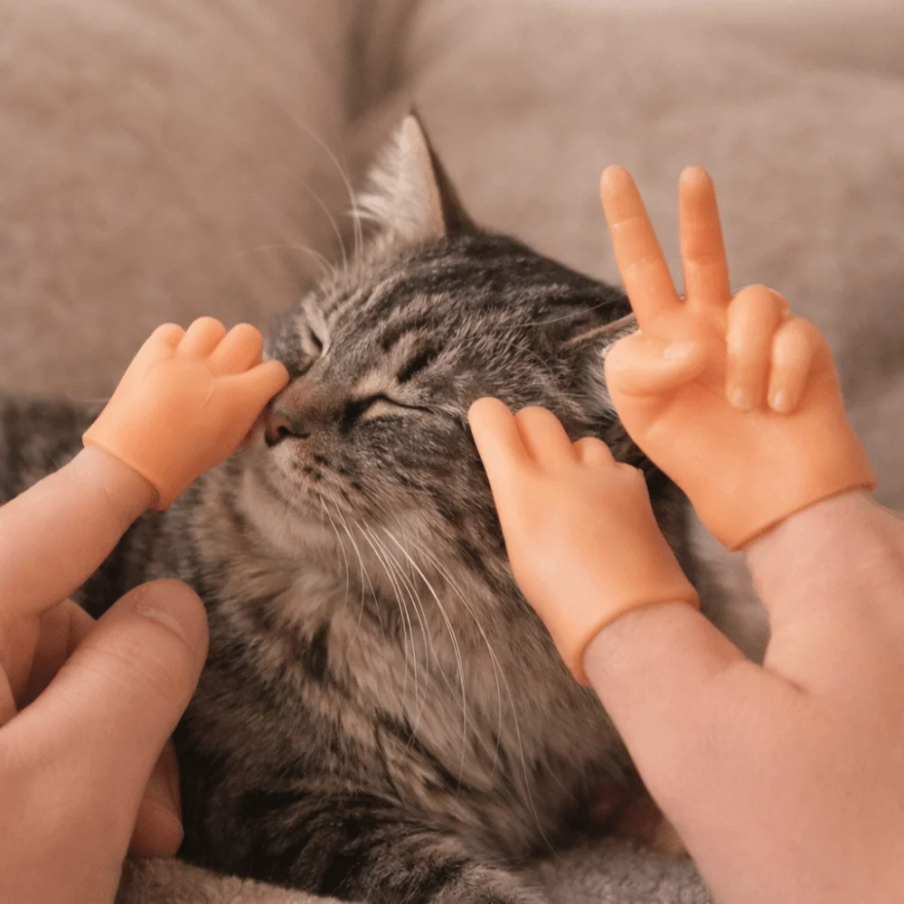 

3pcs/set Mini Hand Model Toy Bite Resistant Pet Finger Puppet Mini Funny Cat Massage Tool Soft Cat Finger Fidget Interaction