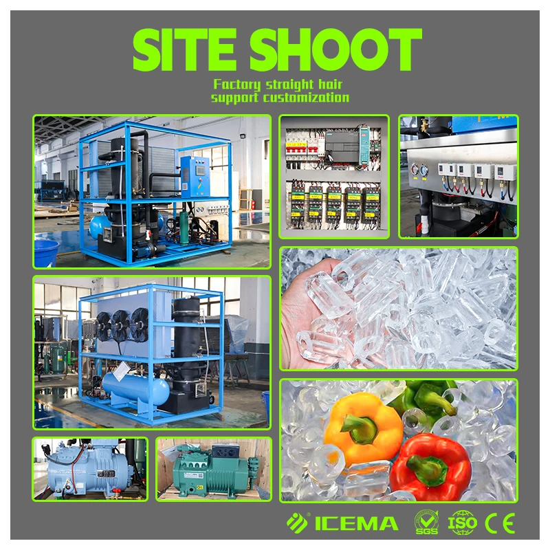 ICEMA Solid Tube Ice Machine Maker 500kg 1ton 2ton Capacity for Business in the Philippines