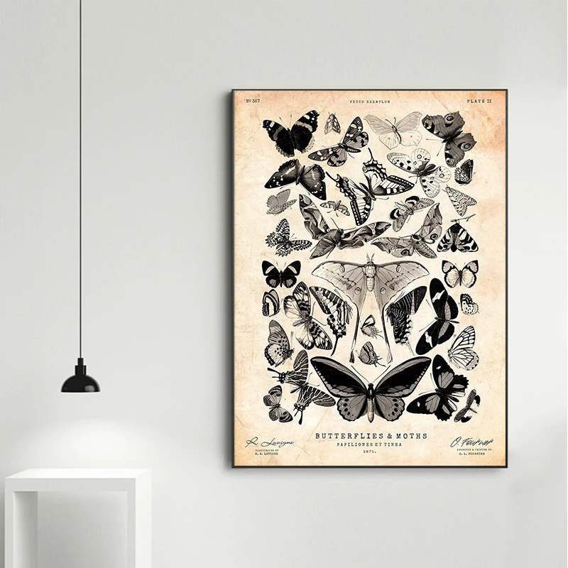 Vintage Nostalgic Theme Butterfly Natural Insects Stag Beetle Bee Moths Poster Canvas Printing Wall Pictures Living Room Decor