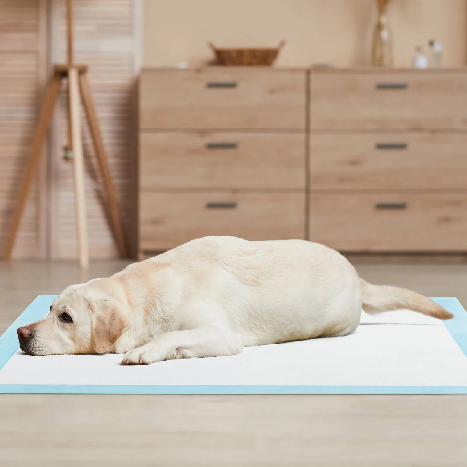 36 بوصة × 36 بوصة (100 قطعة) وسادات تدريب على نونية الكلاب مع وسادات تبول سريعة الجفاف