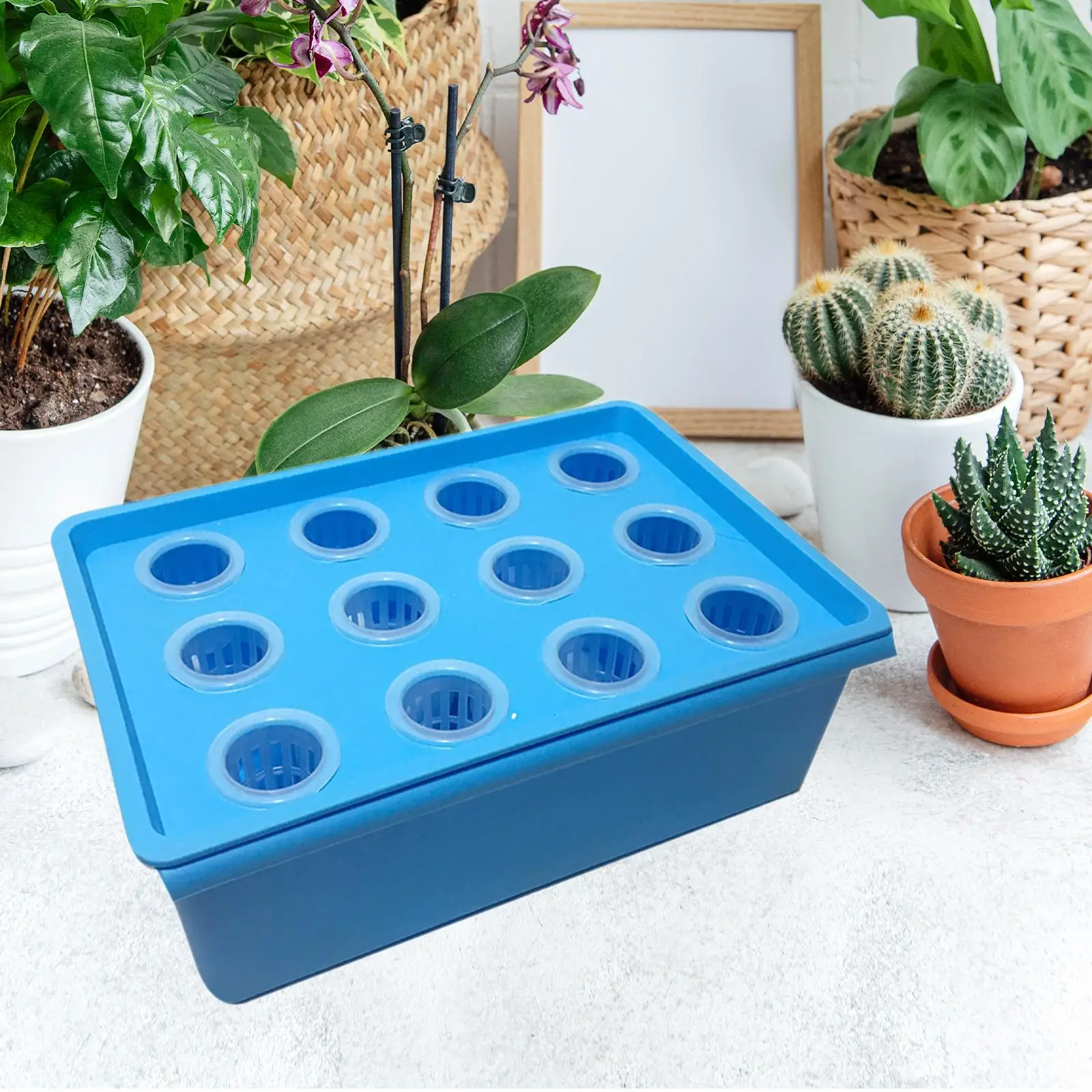 Caja de cultivo hidropónico con 12 agujeros, sistema hidropónico práctico y resistente, caja de cultivo para verduras, cultivo interior, plantación casera