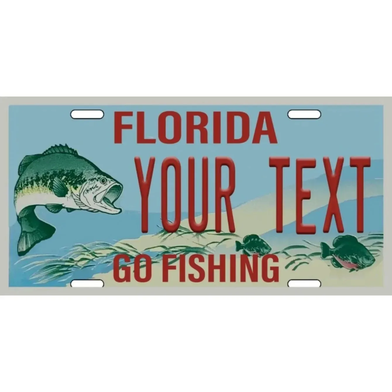 Custom Text Florida State License Plate 12