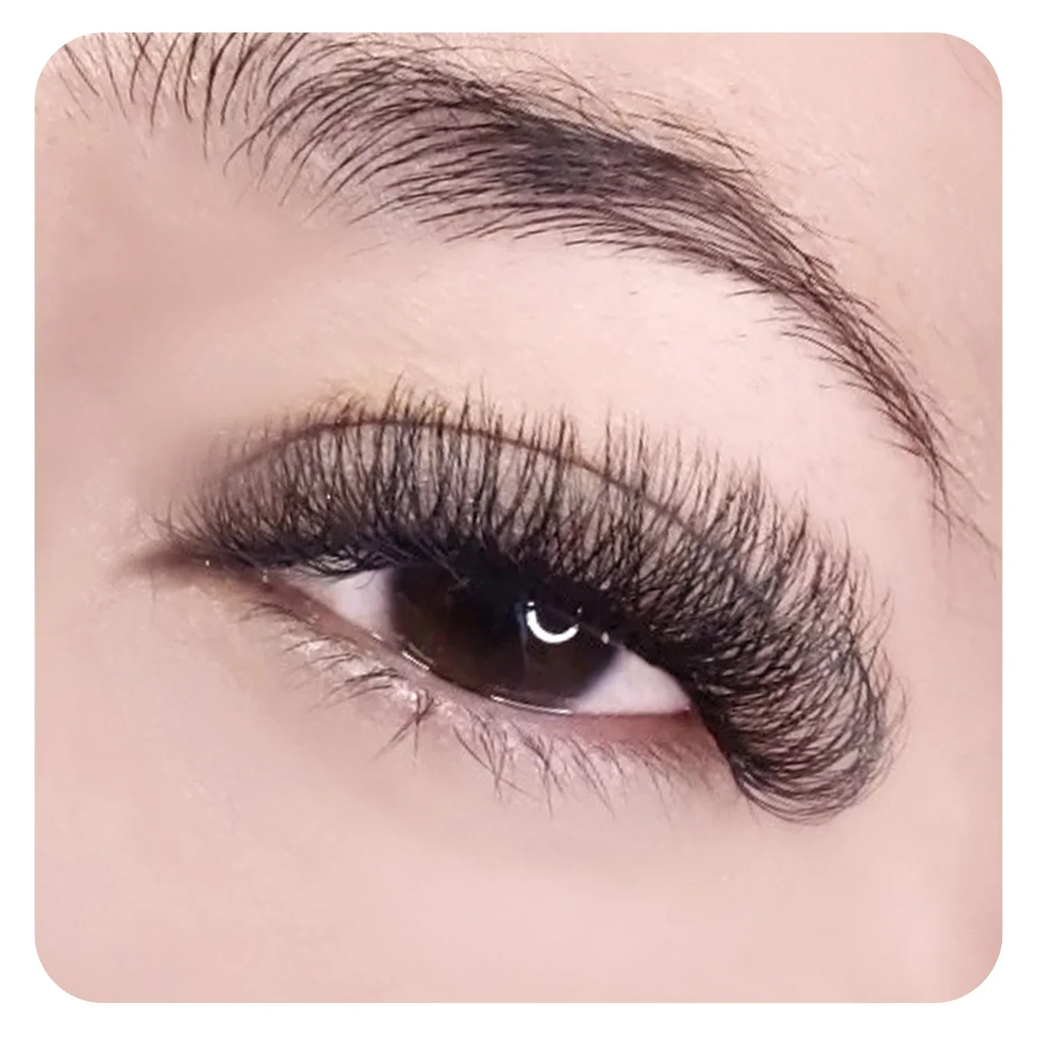 ANNAFRIS 8D W Lash Extension Premade Volume Fan W Shape Bundle Lashes Natural Soft False Eyelashes