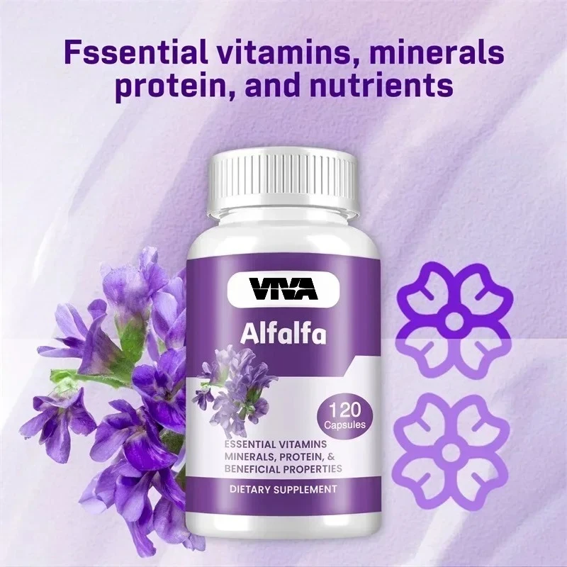 Alfalfa Capsules - Helps Regulate Intestinal Motility, Relieve Digestive Discomfort, and Promote Liver and Metabolic Health