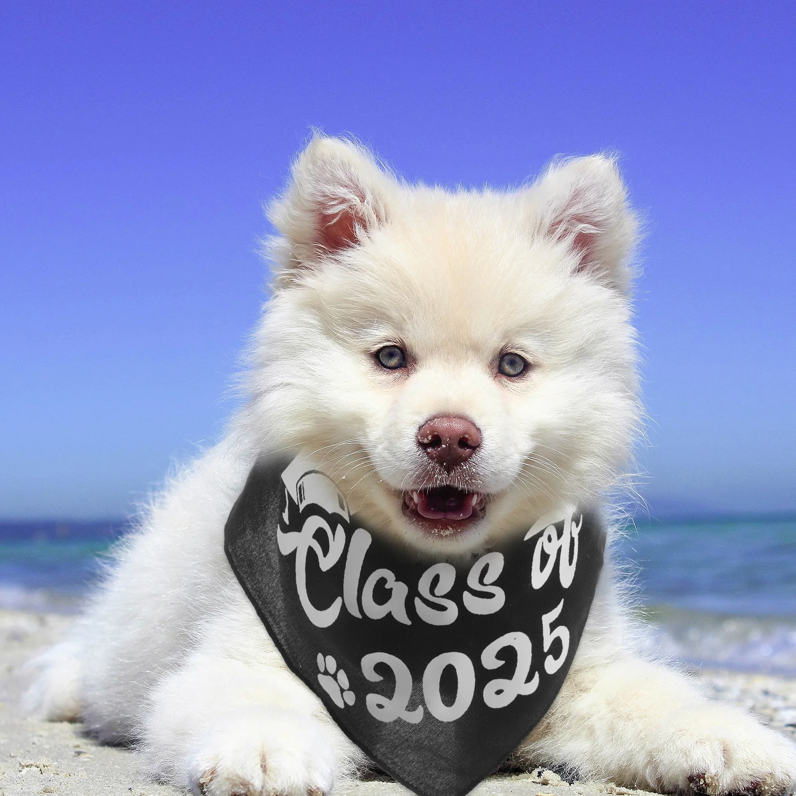 

2Pcs Pet Graduation Bandana Triangle Scarves Adjustable Dog Bibs Class of 2025 Graduation Party Accessories Photo Props