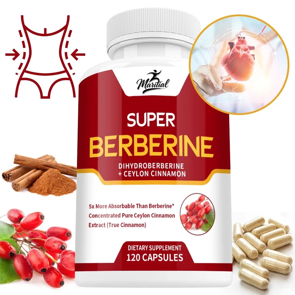 Super Berberine Supplement - Dihydroberberine with Ceylon Cinnamon - 5x More Absorbed - for Digestion, Heart, Adult Men & Women