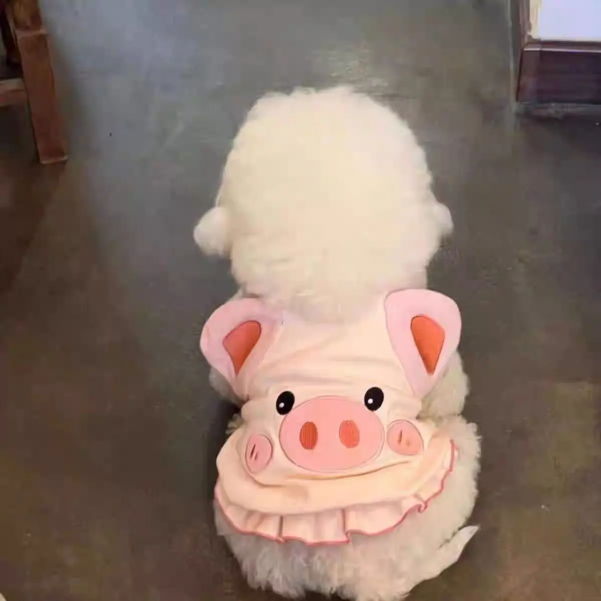 Spring Summer Autumn Cute Animal Clothes For Kittens Thin Small Dog Pet Clothes Cat Vest Anti-Shedding Costume
