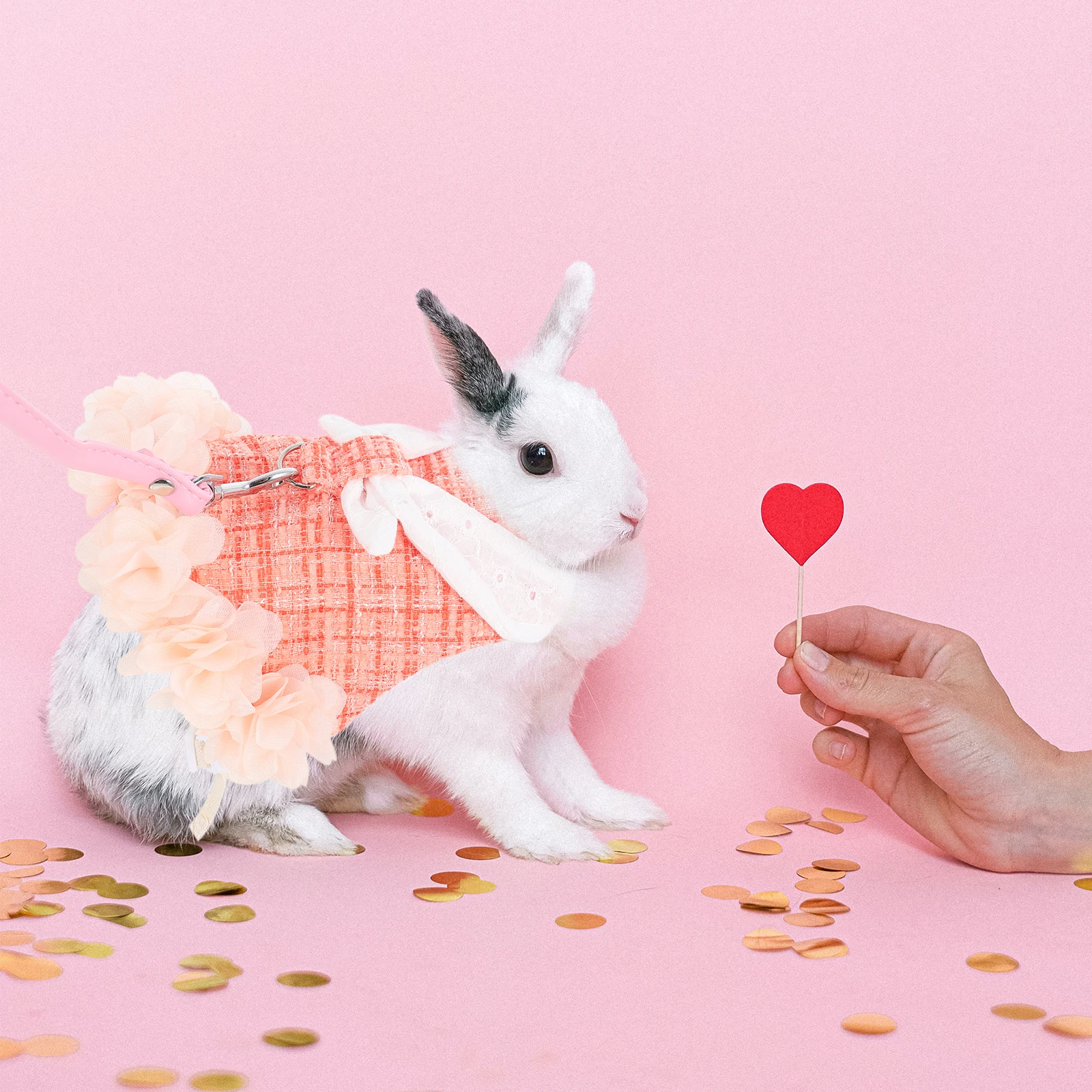 

Pet Rabbit Clothes Bunny Harness Leash Escape Decorative Dress Sleeveless Fashionable Comfortable Breachable Cotton Pet Supplies
