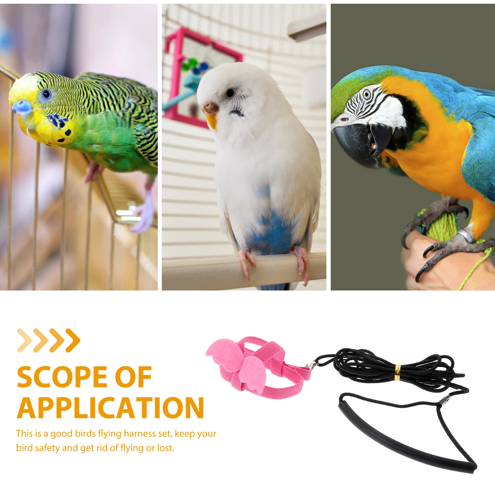 

Parakeet Rope Pet Parrot Collar Leash Bird Harness Outdoor Reusable Flying Portable