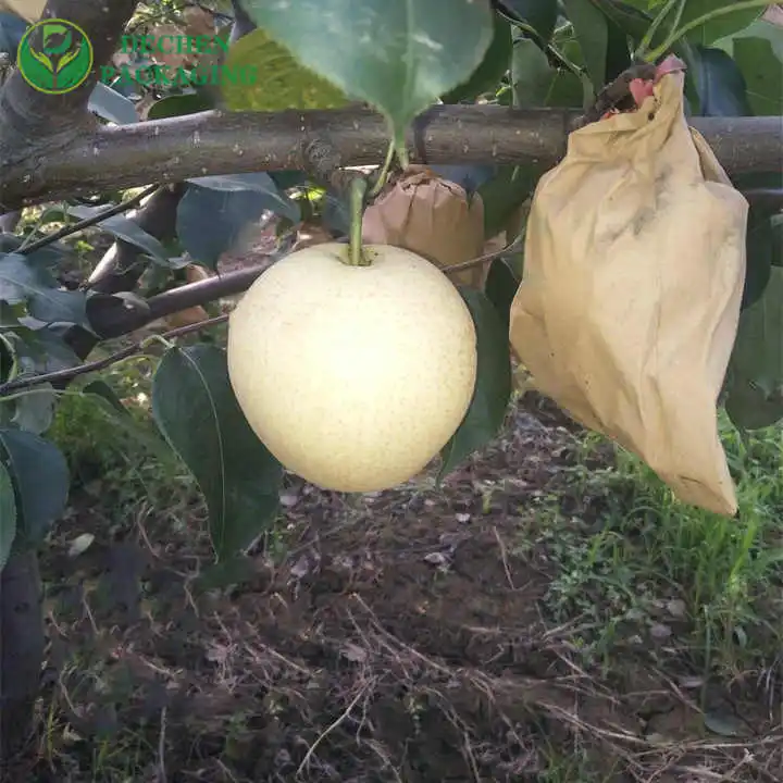 100Pcs Fruit Development Bag Peach Bag Fruit Breeding Bag Tree Cover Breathable and Waterproof To Promote Fruit Growth