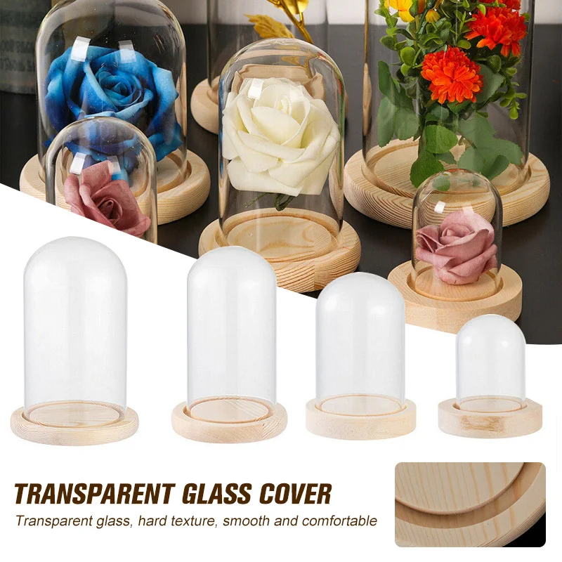 

Clear Glass Display Cloche Bell Ornaments Flower Jar Glass Bottle With Wooden Base Dust Cover Display Box Immortal Flower Box