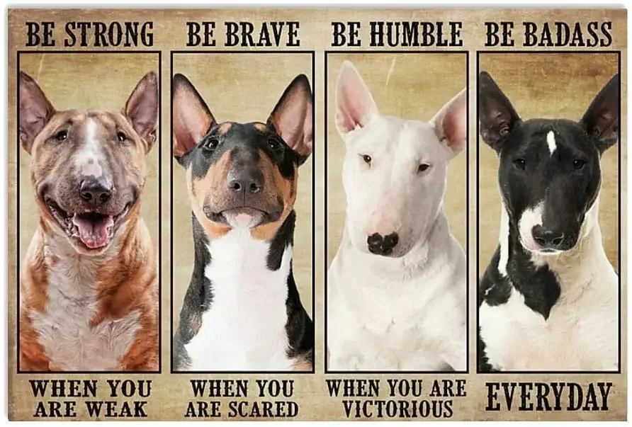 Pozino Bull Terrier Be Strong When You are Weak Cute Metal Sign Garage Street Cafe Bar Club Kitchen Wall Decoration Metal Poster