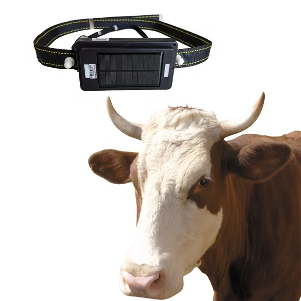 Waterproof Tracker 2g 4g Charged Gps  Wild Animal Tracking Solar Power   Cattle Eartag 