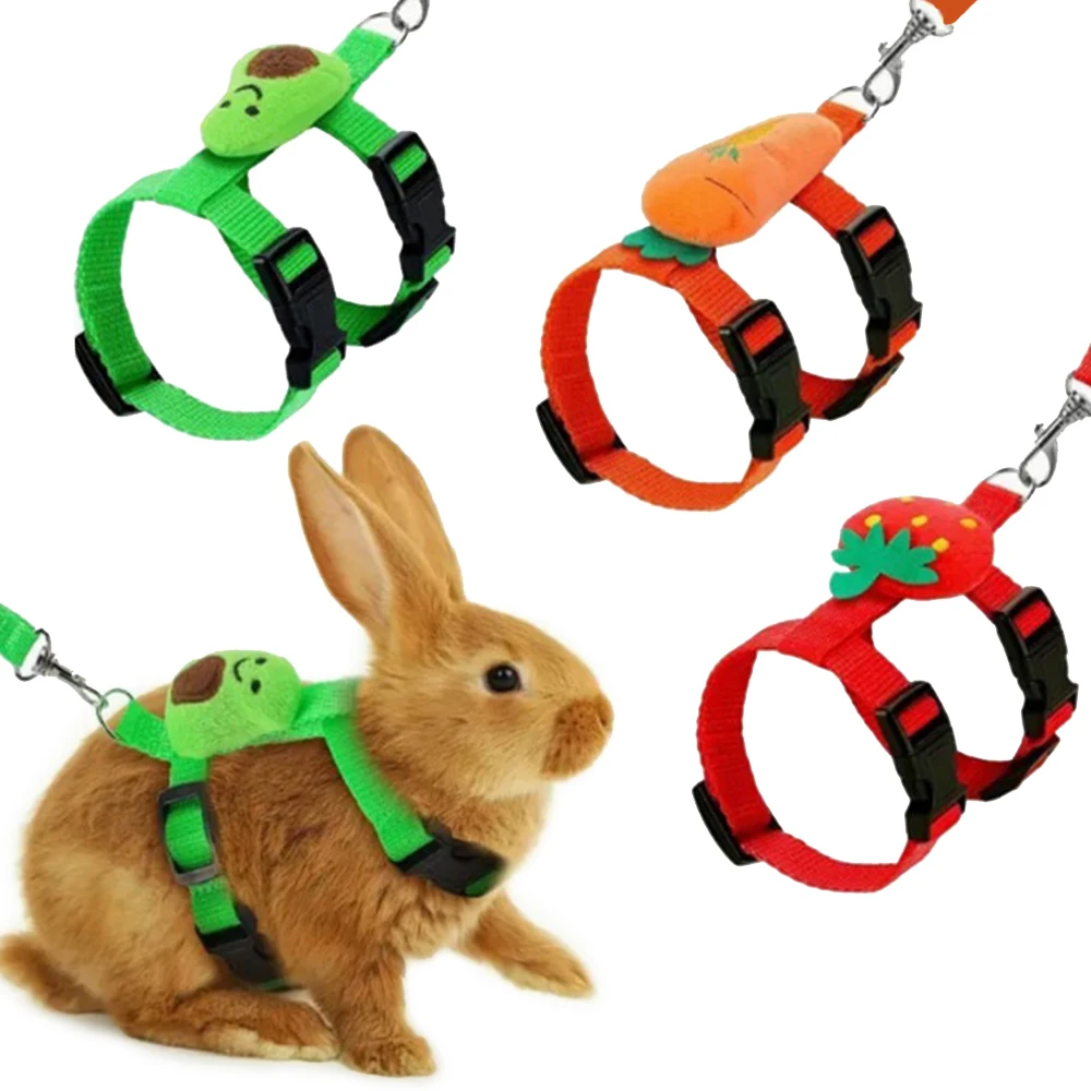 #50 Trending Pet Harnesses Right Now